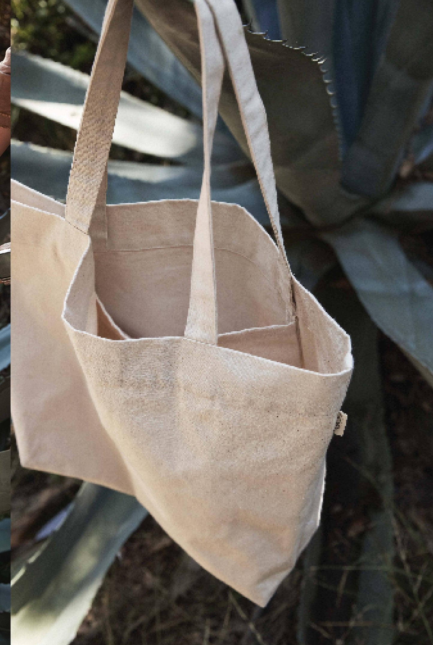 Beige tote bag hanging on a plant